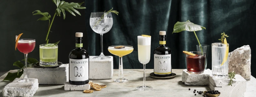 Sélection de bouteilles de gin sans alcool premium pour le Dry January